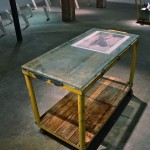 Morbid Anatomy, 2005